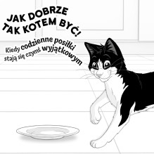 PURINA Felix Fantastic in jelly Box - wet cat food - 44x85g PURINA Felix Fantastic in jelly Box - wet cat food - 44x85g
