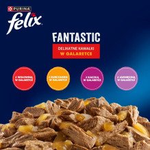 PURINA Felix Fantastic in jelly Box - wet cat food - 44x85g PURINA Felix Fantastic in jelly Box - wet cat food - 44x85g