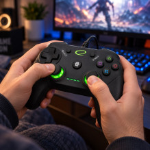 Esperanza EGG110K žaidimų valdiklis, žaidimų pultas, kompiuterinis, PlayStation 3, analoginis / skaitmeninis, USB 2.0, j