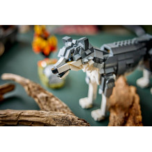 LEGO KŪRĖJAS 3 IN 1 31393 Miško gyvūnai: Pilkasis vilkas