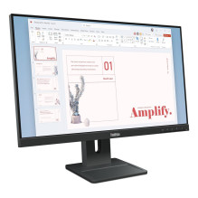 Lenovo ThinkVision E24-40 Monitorius
