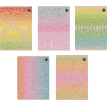 NoName Brulion The Promised Land Notebook A5 Snakes squared 96 sheets 5 pcs.