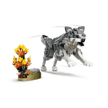 Konstruktorius - LEGO Creator 3-In-1 31393 Forest Animals: Gray Wolf