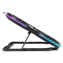 RAMPAGE LAPTOP AUSINIMO STOVAS