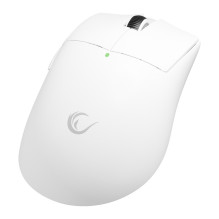 RAMPAGE BLITZ ULTIMATE 8K MOUSE RAMPAGE BLITZ ULTIMATE 8K MOUSE
