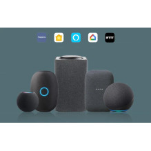 Aqara HE1-G01 Centrinis valdymo modulis Stebulės Aqara HE1-G01 Centrinis valdymo modulis Stebulės