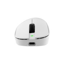 White Shark CAMILLUS WGM-9013, White