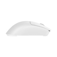 Baracuda BGM-132 MORAY White