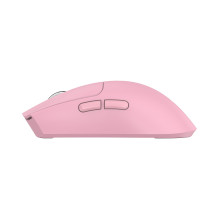 Baracuda BGM-133 MORAY Pink