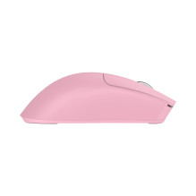 Baracuda BGM-133 MORAY Pink