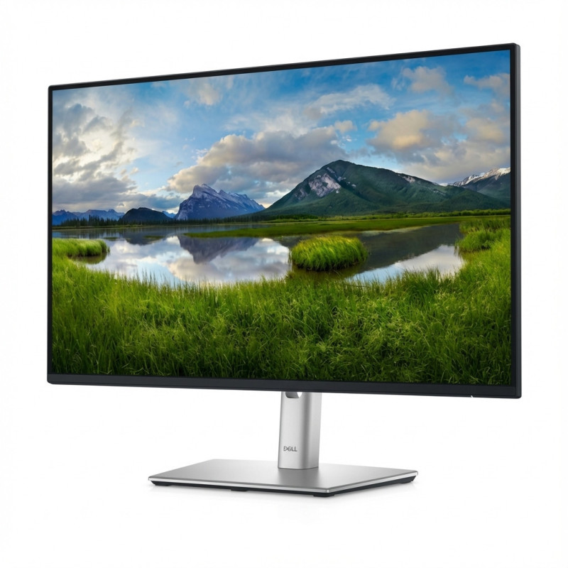TFT 60,47cm / 23,8" (1920x1080) Dell P2425H 16:9 FHD IPS 5ms 100Hz HDMI DP VGA USB-C Black / Silver