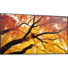 Sharp MultiSync M552 55" IPS 16:9