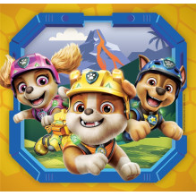 DELIONĖ PAW PATROL 3X48