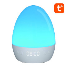 Smart Light - Gosund LB2S 16M RGBW Night Light, App and Voice Control