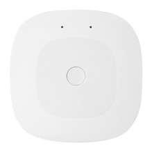 Smart Home Gateway - MOES...