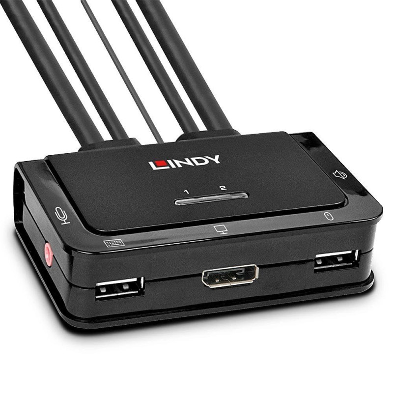 Lindy 2 Port DisplayPort 1.2 USB 2.0 ir Audio Kabelis KVM Switch