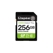 Kingston Technology 256GB...