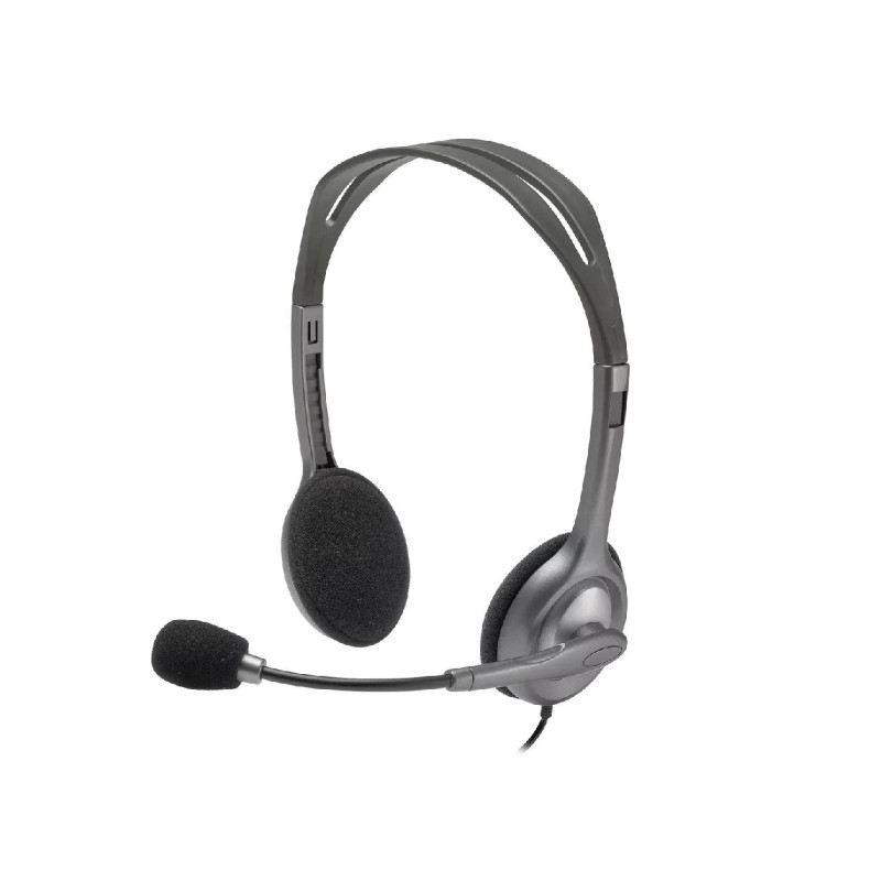 Logitech H110 Stereo ausinės