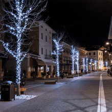 Lauko ir vidaus girlianda (šaltai baltos LED lemputės) 10 m PROLED juoda