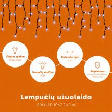 Lempučių užuolaida (šaltai baltos LED lemputės) PROLED IP67 2x2 m Lempučių užuolaida (šaltai baltos LED lemputės) PROLED IP67 2x2 m