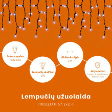 Lempučių užuolaida (šaltai baltos LED lemputės) PROLED IP67 4x2 m