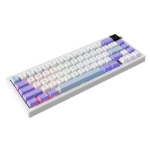 AK650 Dream Weaver Switch Purple-White-Blue (EN)