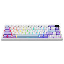 AK650 Dream Weaver Switch Purple-White-Blue (EN)