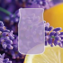 Scented candle YANKEE...