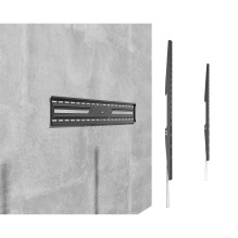 Sbox BL-3869F (50"-100" / 75kg / 900x600)