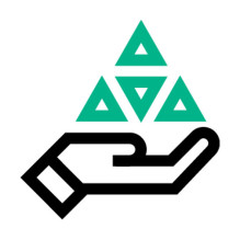 HPE diegimo MSA papildoma paslauga