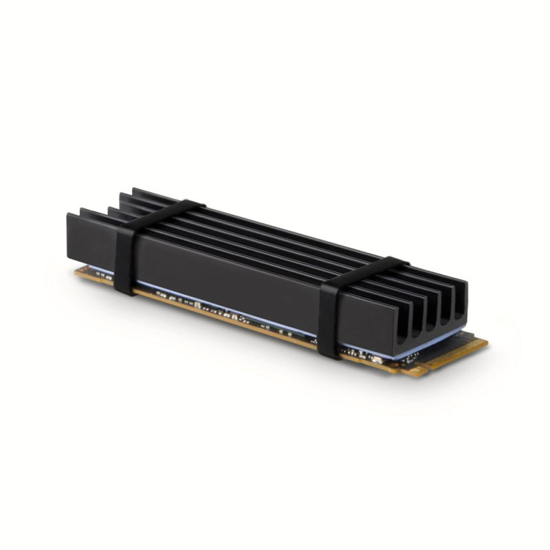 Axagon CLR-M2L10 computer cooling system M.2 NVMe SSD Solid-state drive Heatsink / Radiator Black 1 pc(s)