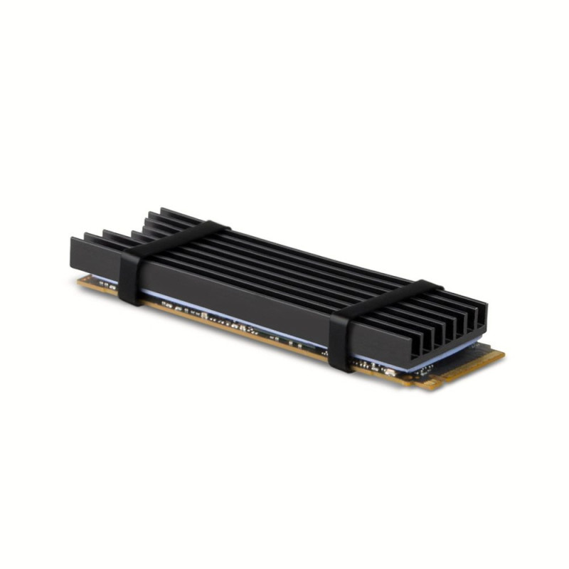 Axagon CLR-M2L6 computer cooling system M.2 NVMe SSD Solid-state drive Heatsink / Radiator Black 1 pc(s)