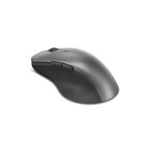 Lenovo 4Y51J62544 pelė...