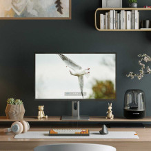 Alogic Clarity Max 32C4KPD 32" IPS 16:9 Silver / Black Alogic Clarity Max 32C4KPD 32" IPS 16:9 Silver / Black