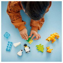 LEGO DUPLO Wild Animal Families: Penguins &amp; Lions