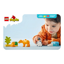 LEGO DUPLO Wild Animal Families: Penguins &amp; Lions