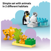 LEGO DUPLO Wild Animal Families: Penguins &amp; Lions