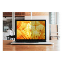 3M BPNDE005 display privacy filter 3M BPNDE005 display privacy filter