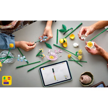 LEGO Botanicals Kleiner Sommerstrauß 10347