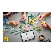 LEGO Botanicals Kleiner Sommerstrauß 10347