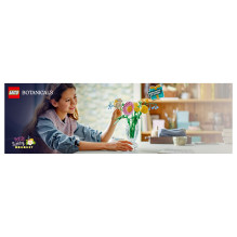 LEGO Botanicals Kleiner Sommerstrauß 10347