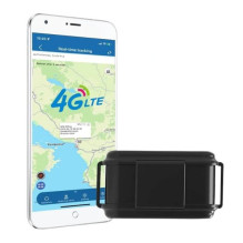 TK919-4G LTE GPS seklys, baterija 3000 mAh
