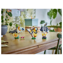 LEGO Creator Wild Animals: Tropical Toucan