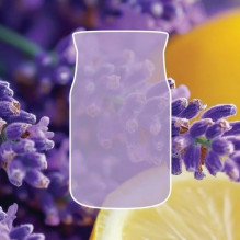 Kvapioji Žvakė - YANKEE Home Lemon Lavender 37 g Violetinė Kvapioji Žvakė - YANKEE Home Lemon Lavender 37 g Violetinė