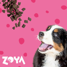ZOYA ColdPRO jautienos sausas šunų ėdalas 1 kg ZOYA ColdPRO jautienos sausas šunų ėdalas 1 kg