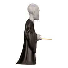 MINIX HARRY POTTER - VOLDEMORT
