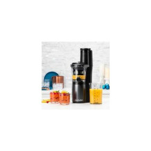 Nutribullet Slow Juicer NBJ500 (gray / black, 150 Watt)