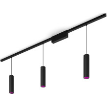 Philips Hue White Color Ambiance Perifo ceiling and pendant lamp Black