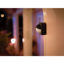 Philips Hue Outdoor motion sensor