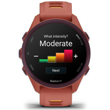 Garmin Forerunner 170 Music 3.05 cm (1.2") AMOLED 42 mm Digital 390 x 390 pixels Touchscreen Pink GPS (satellite)